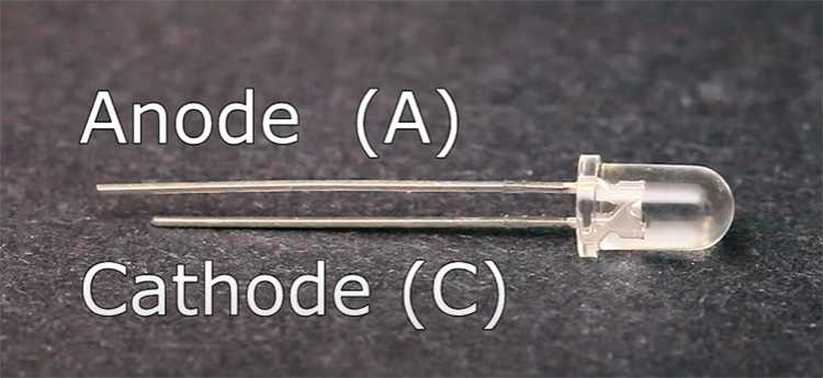 ANODE AND CATHODE