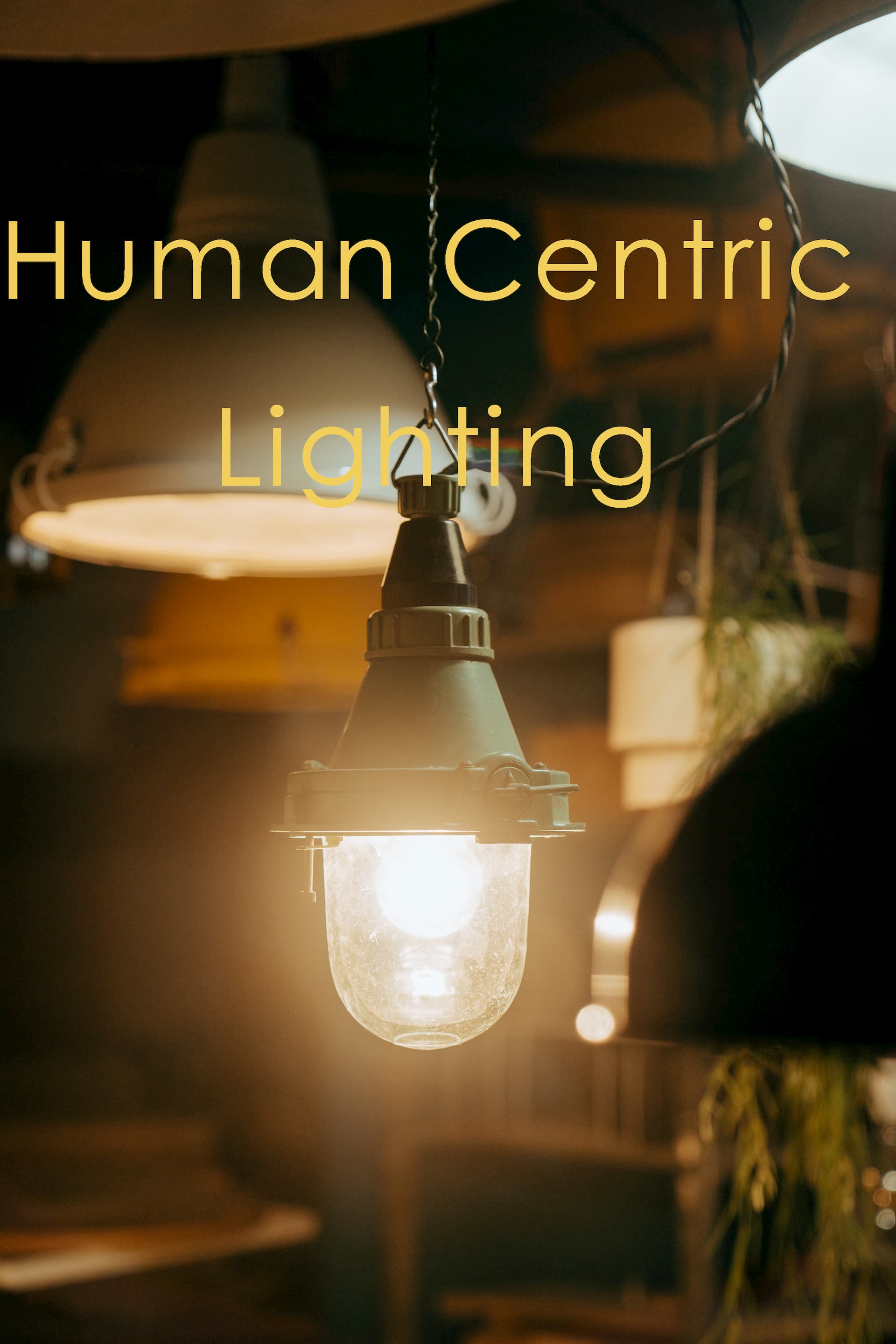 architecture human centric lighting project