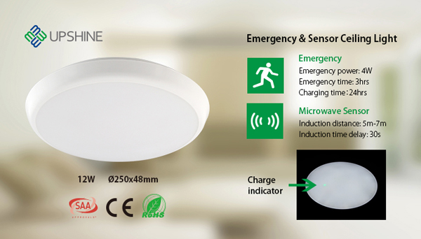 ceiling mounted emergency light