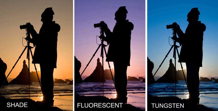 fluorescent lamp color temperature photography 