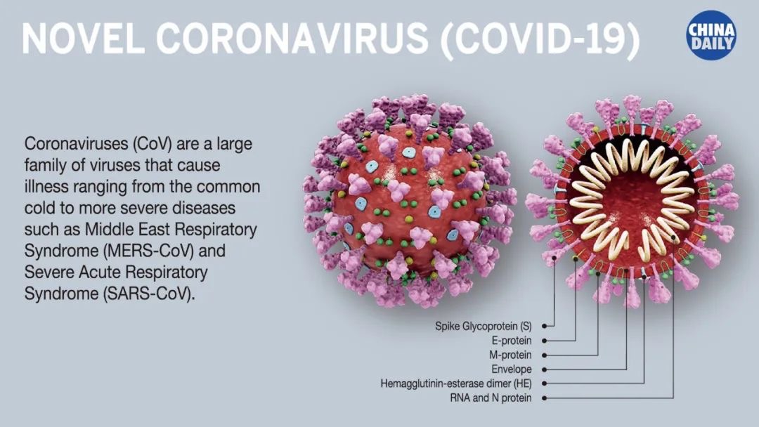 novel coronavirus COVID 19