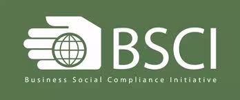 Business Social Compliance Initiative Authentication