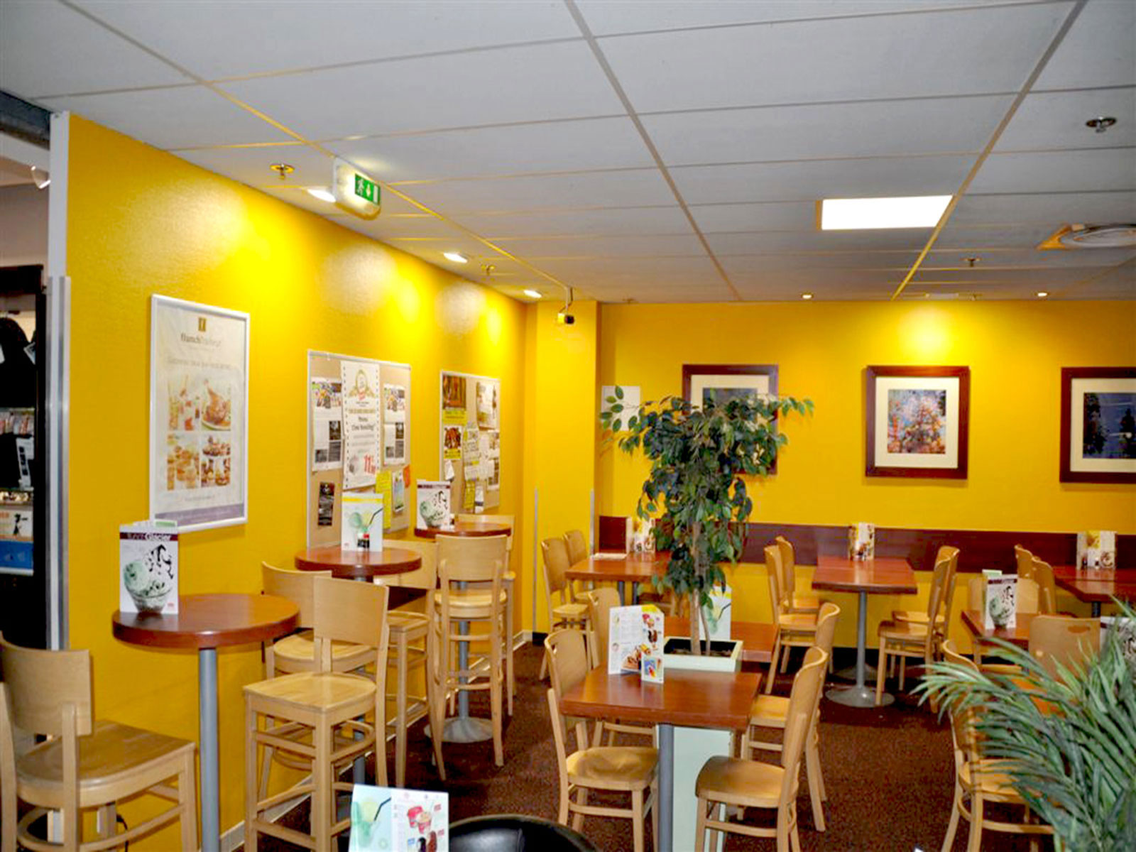 Restaurant LED Lighting In France