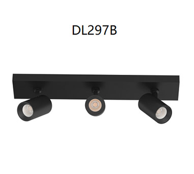 DL297 spotlight