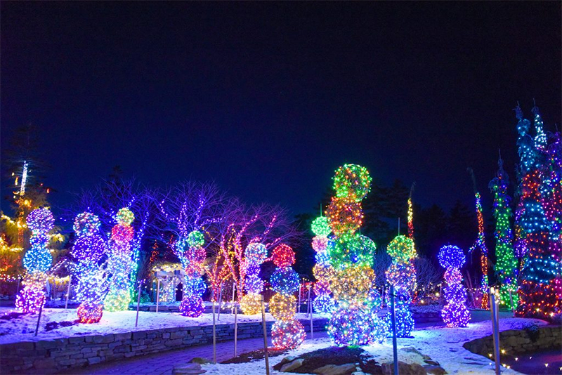 Gardens Aglow at Coastal Maine Botanical Gardens 