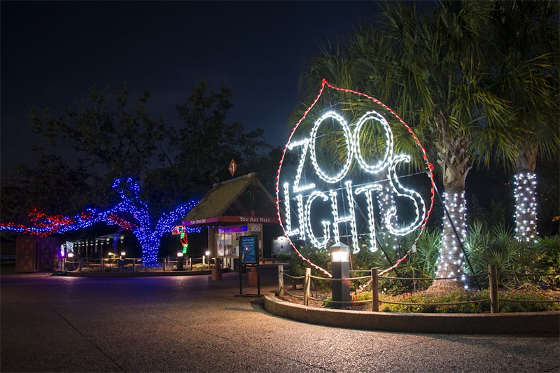 zoo light