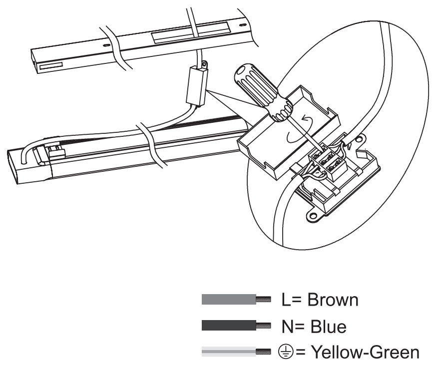 Connect the fixture lead with AC