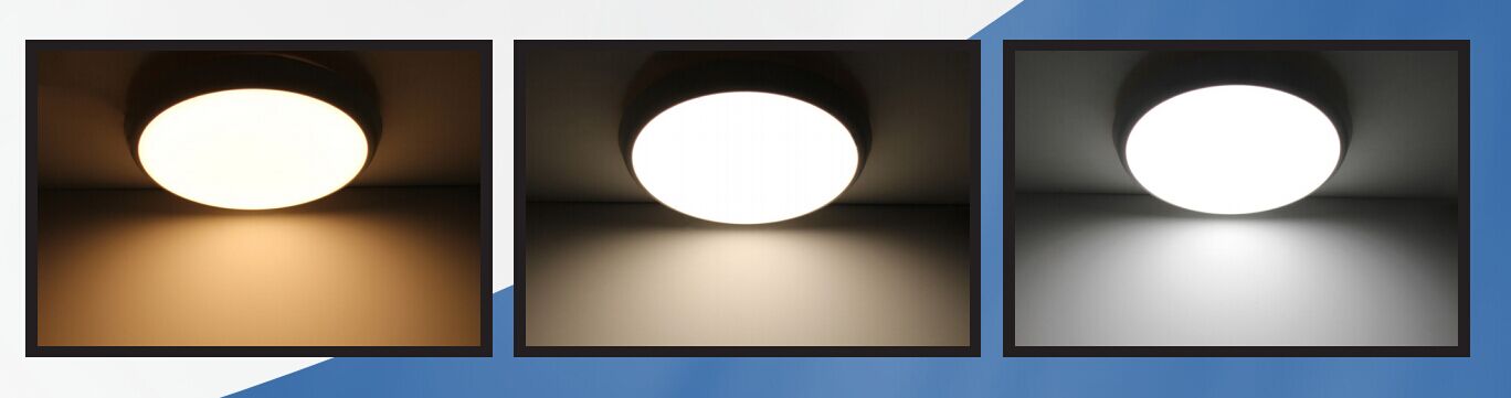 LED Oyster Ceiling Lights