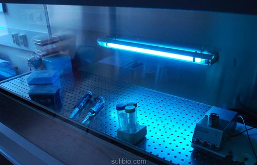 Ultraviolet Kill the coronavirus virus led lamp