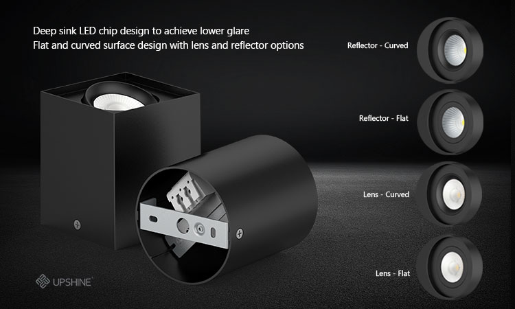 DL244 surface mounted adjustable down light