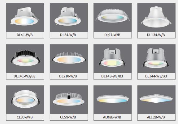 smart home downlight