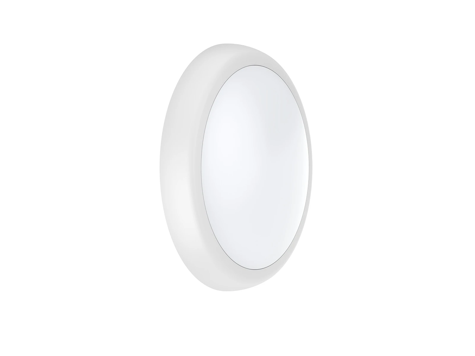 AL224 Series IP65 IK08 LED Bulkhead
