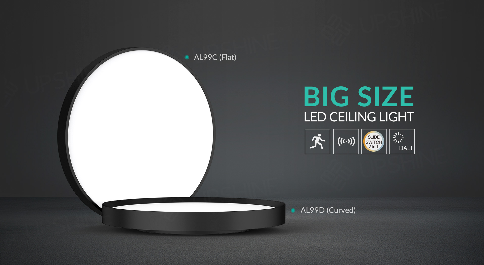 AL99C D ceiling light _01