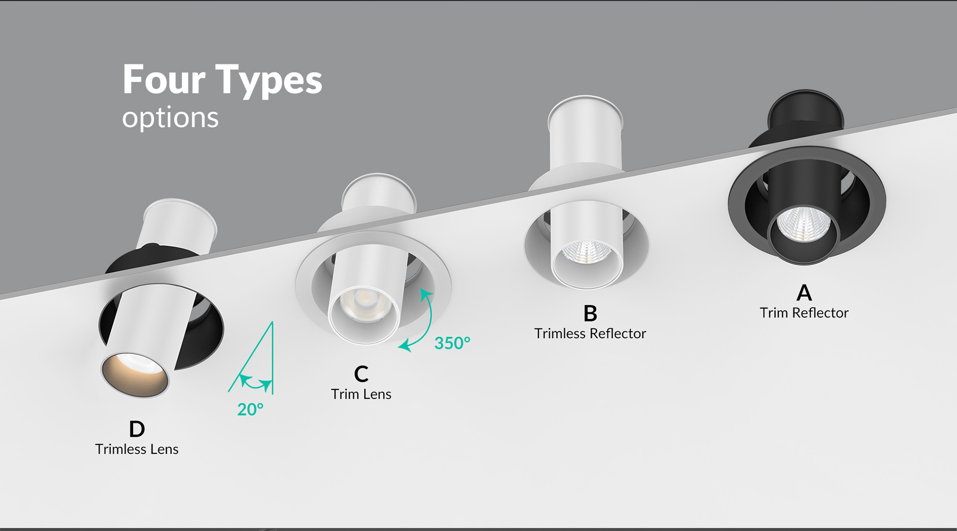 DL369 _02 four type option