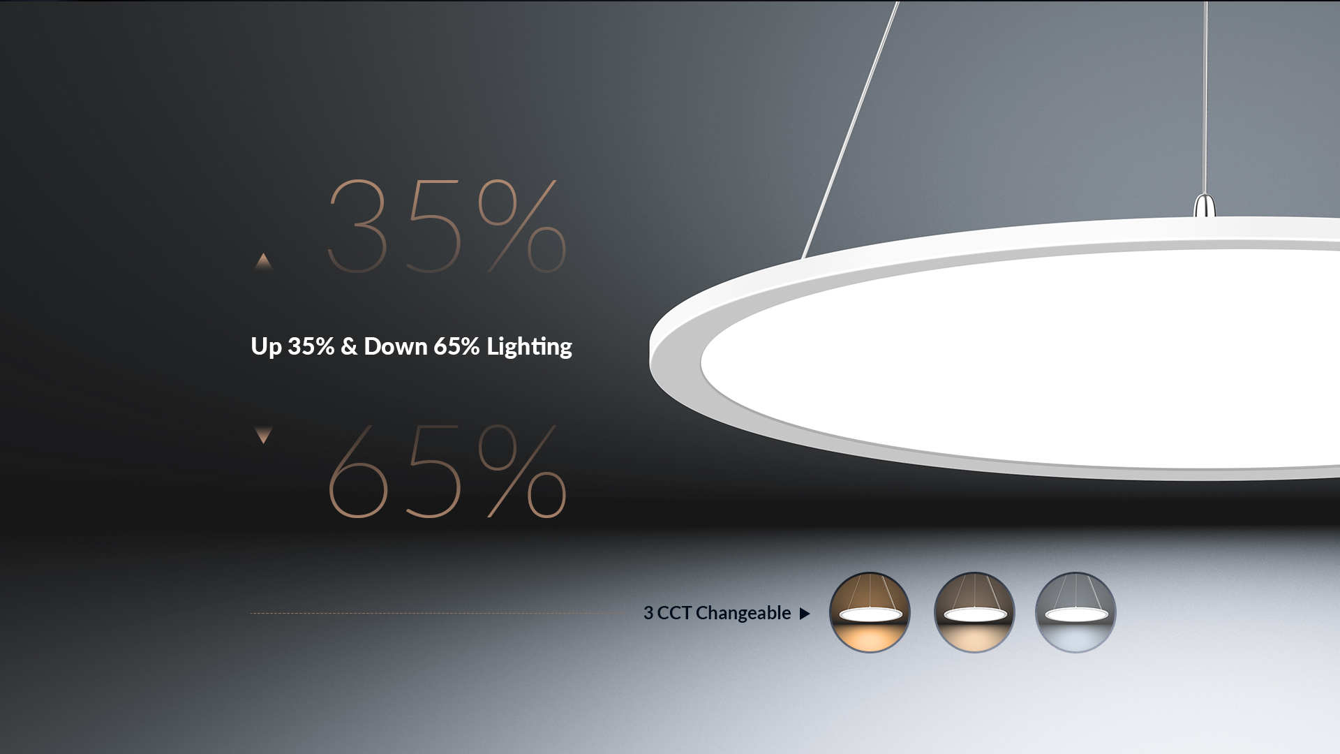 PL DG panel light(1)_04