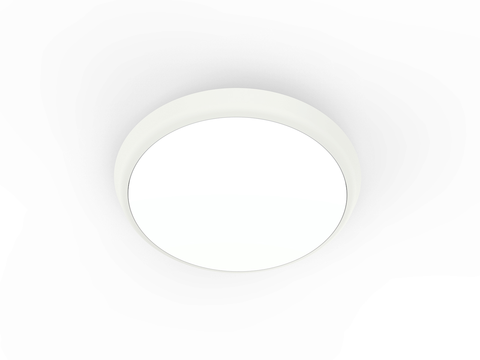 10 Inch 12W Round Ceiling LED Light