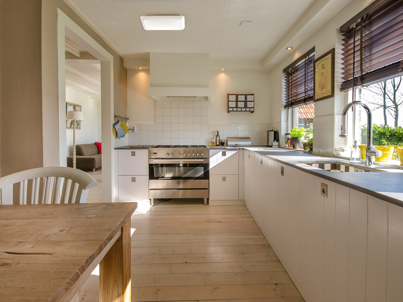 CE Rohs Smart sensor emergency ceiling light