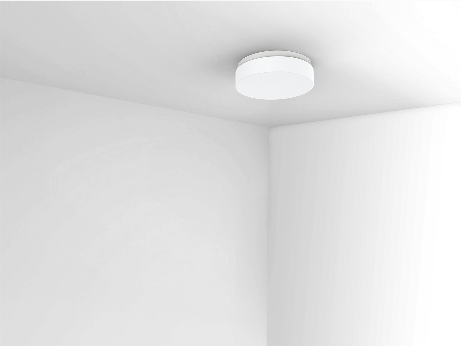 warm white mounted ceiling light