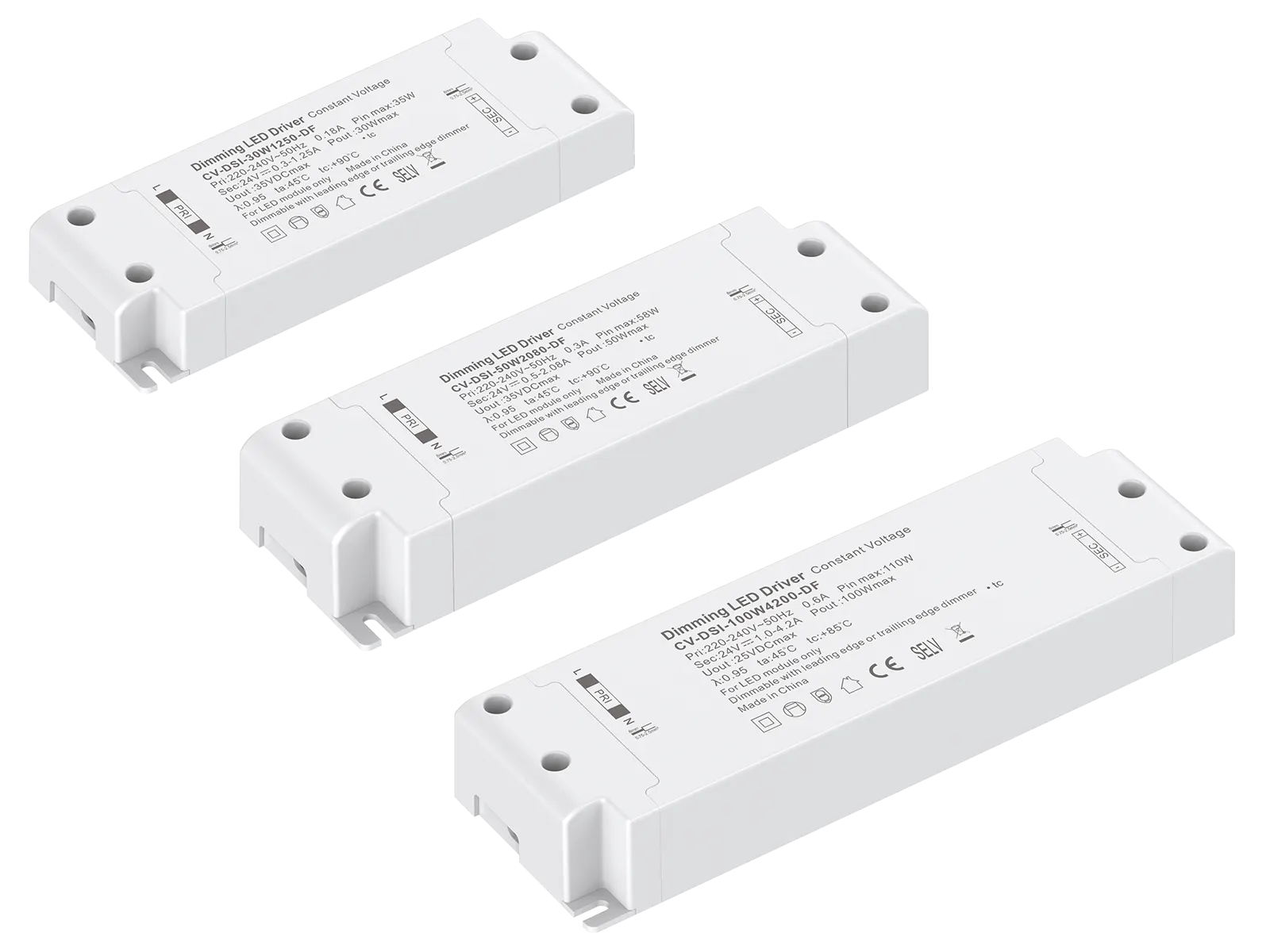 CV DSI 1