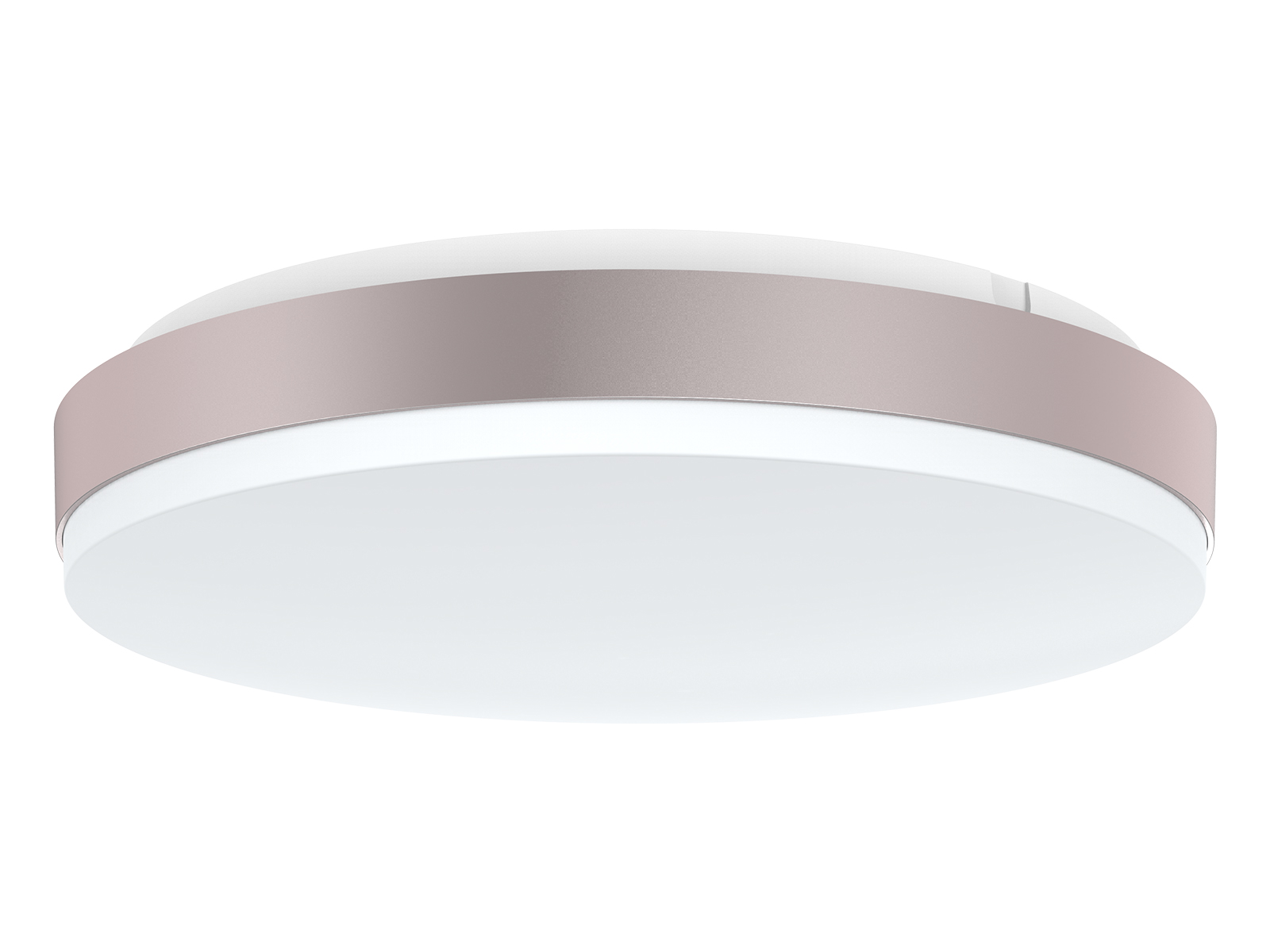 Ceiling Light Fixture Without