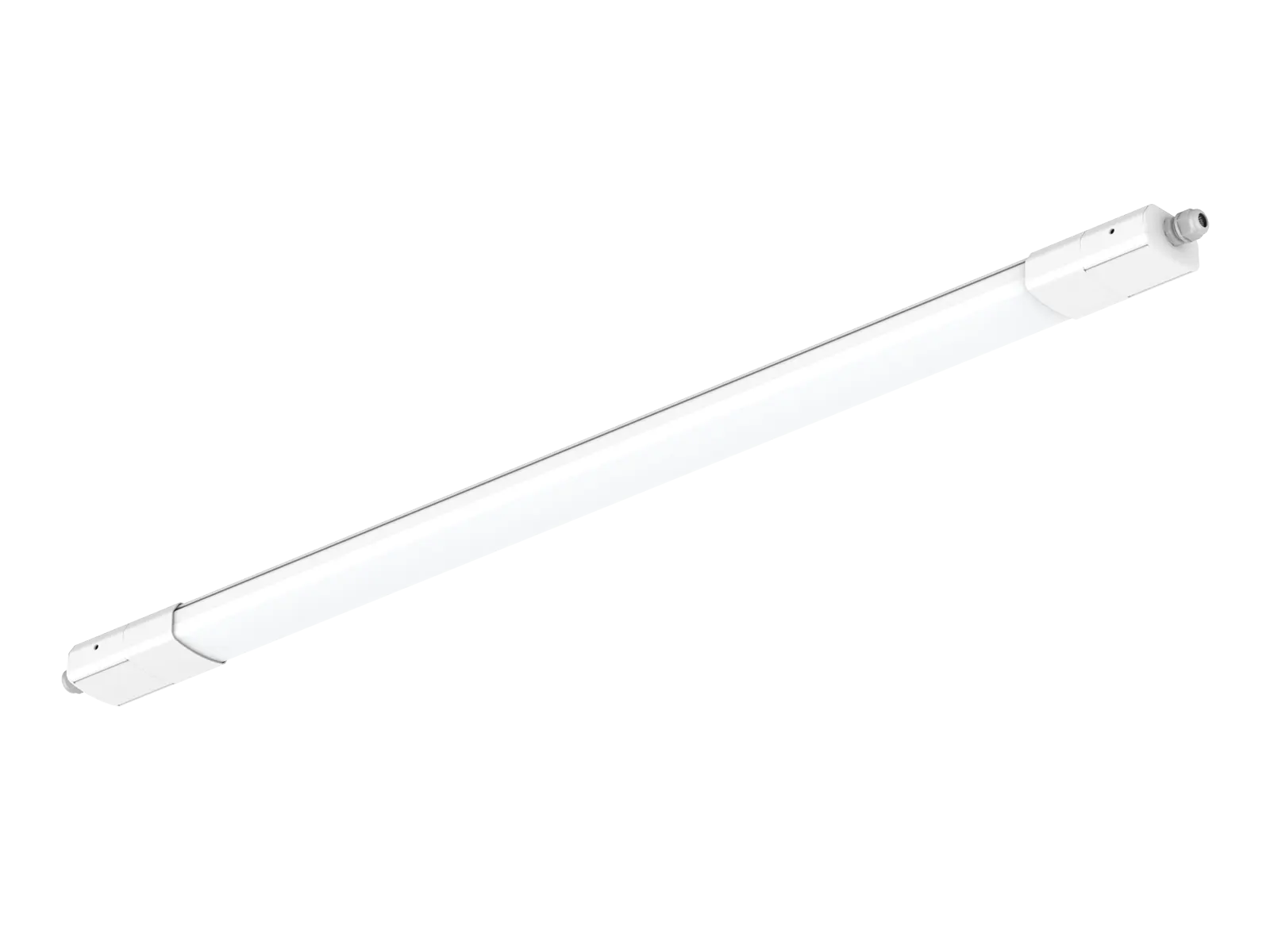 DB236 IP66 IK10 LED Batten Light