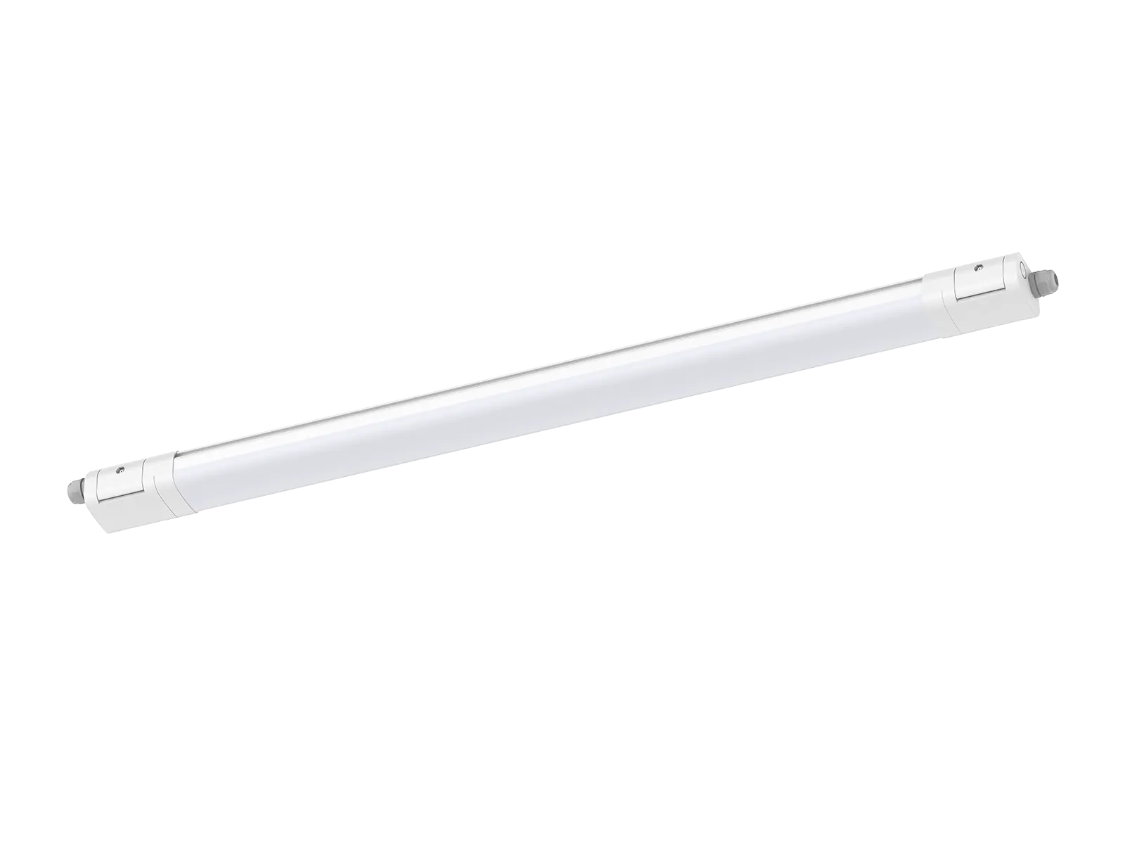 DB242 IP66 IK10 LED Batten Light