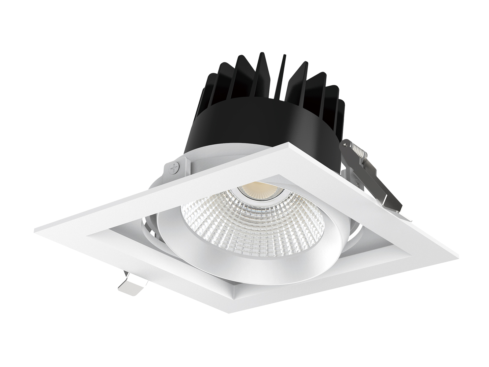 CL113 gimble Recessed Luminaire