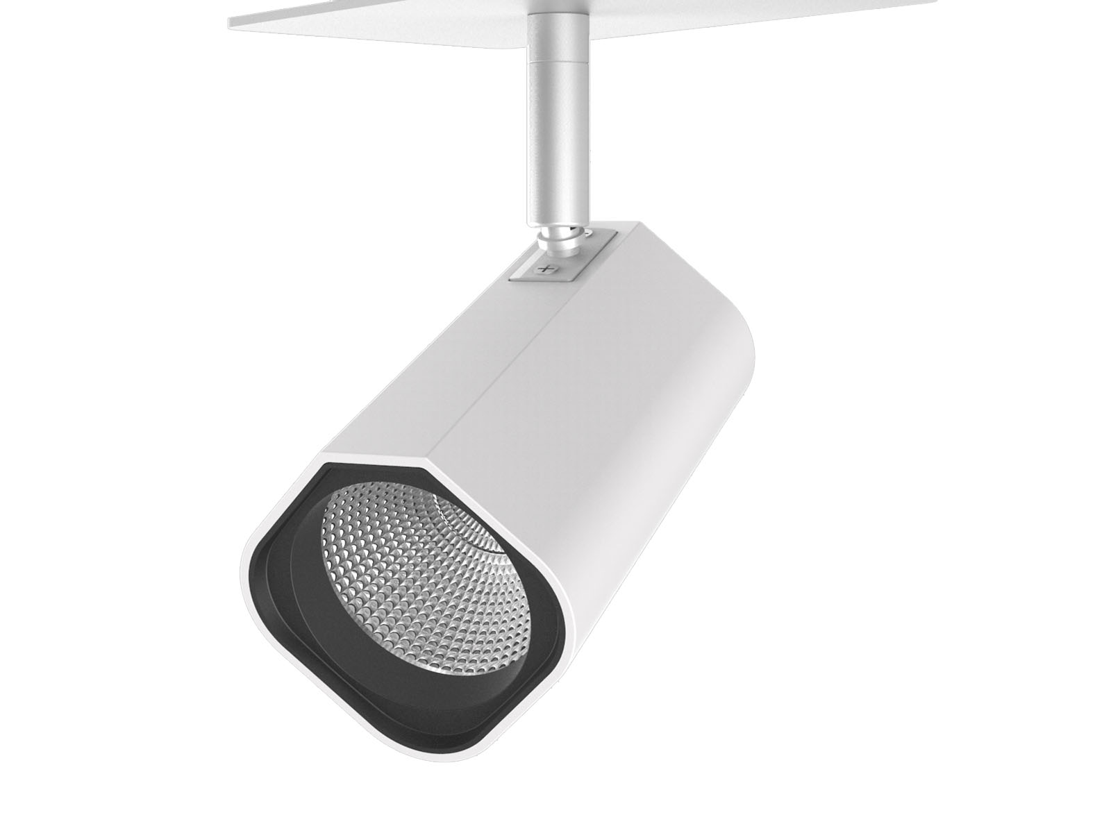 TL21 Deep Cylinder Design Ceiling spotlight