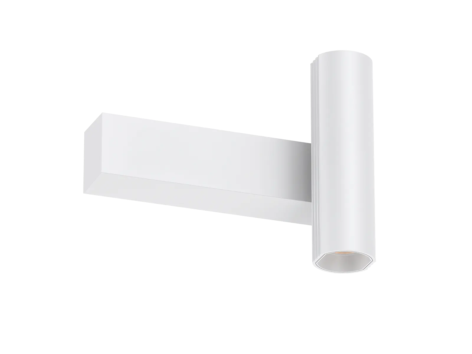 WL455 LED Wall Light