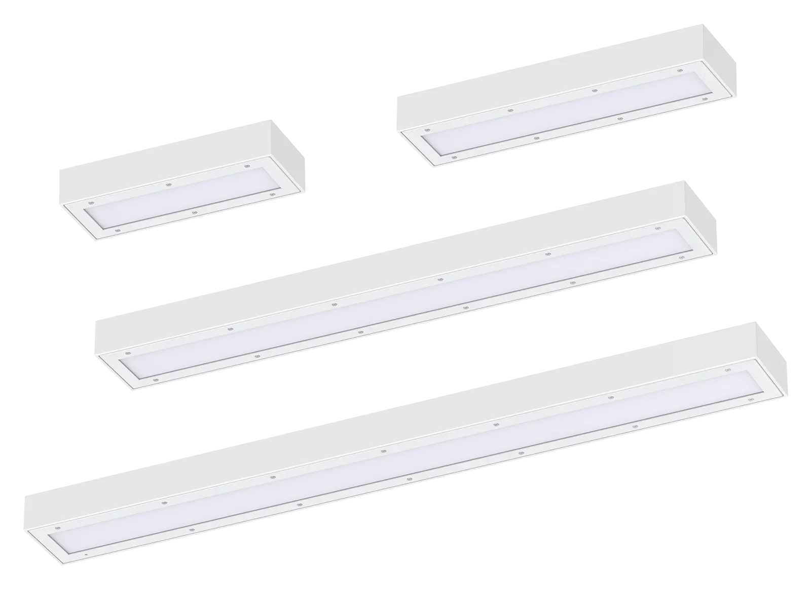 DB216 VANDAL RESISTANT LIGHTING 1