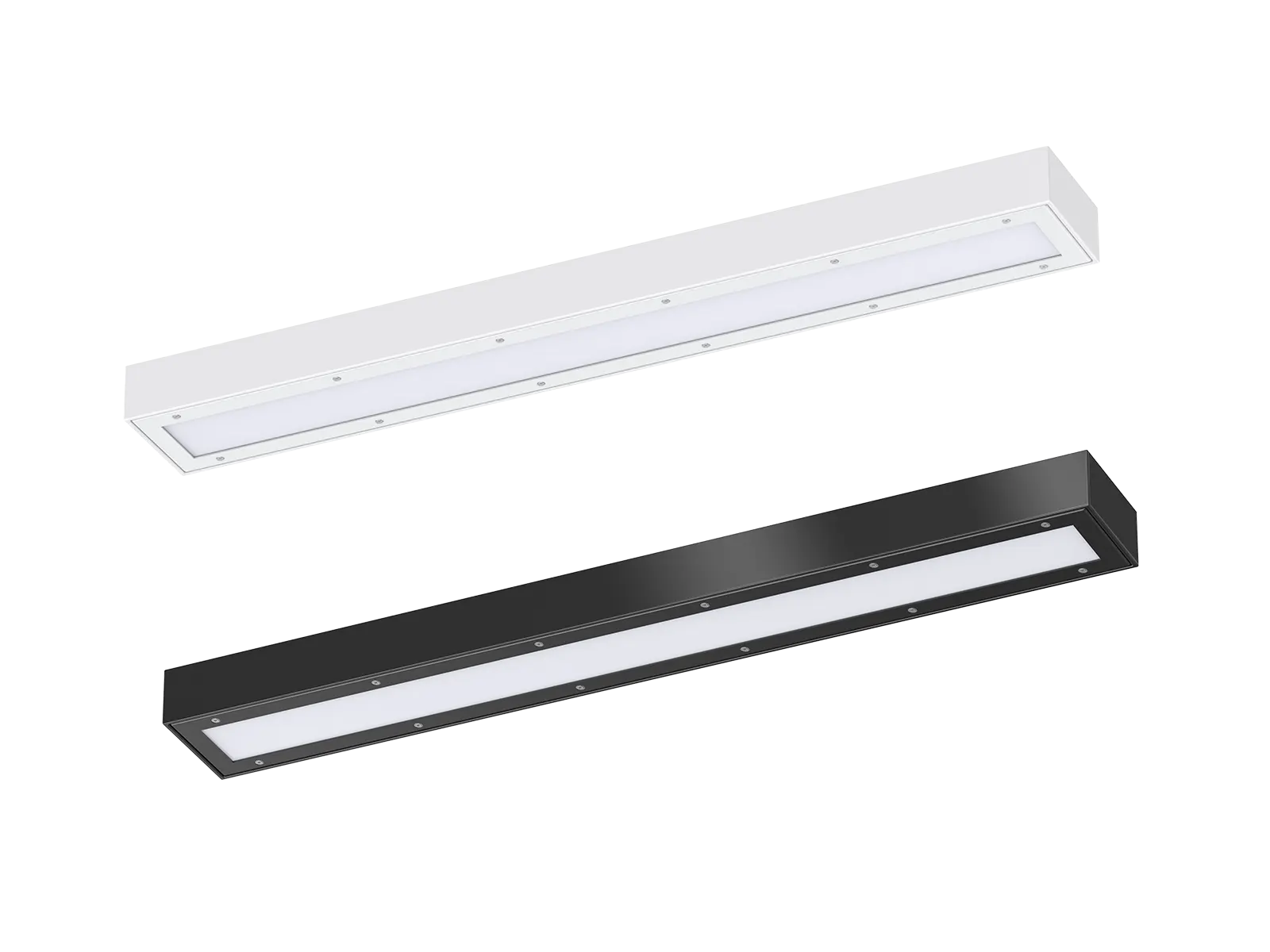 DB216 VANDAL RESISTANT LIGHTING 2