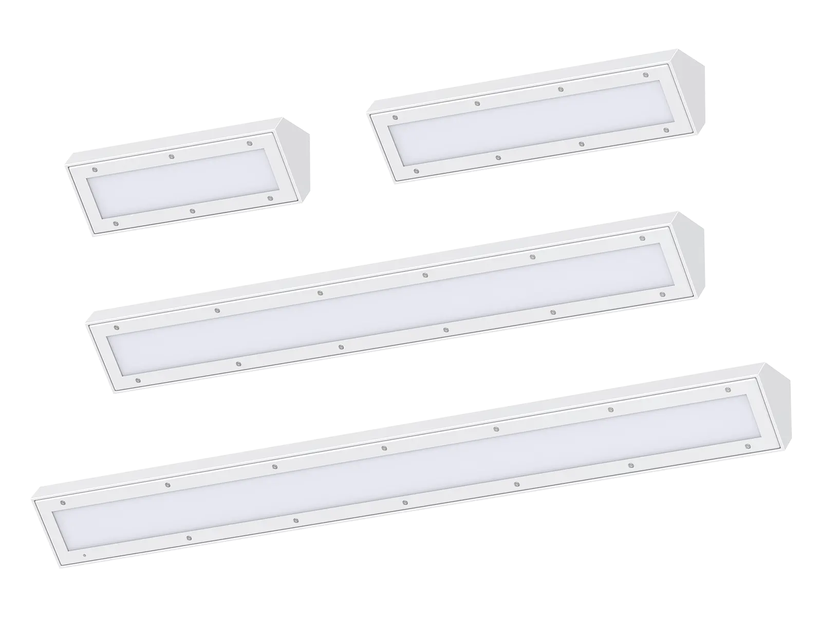 WL216 Vandal Resistant Lighting 1