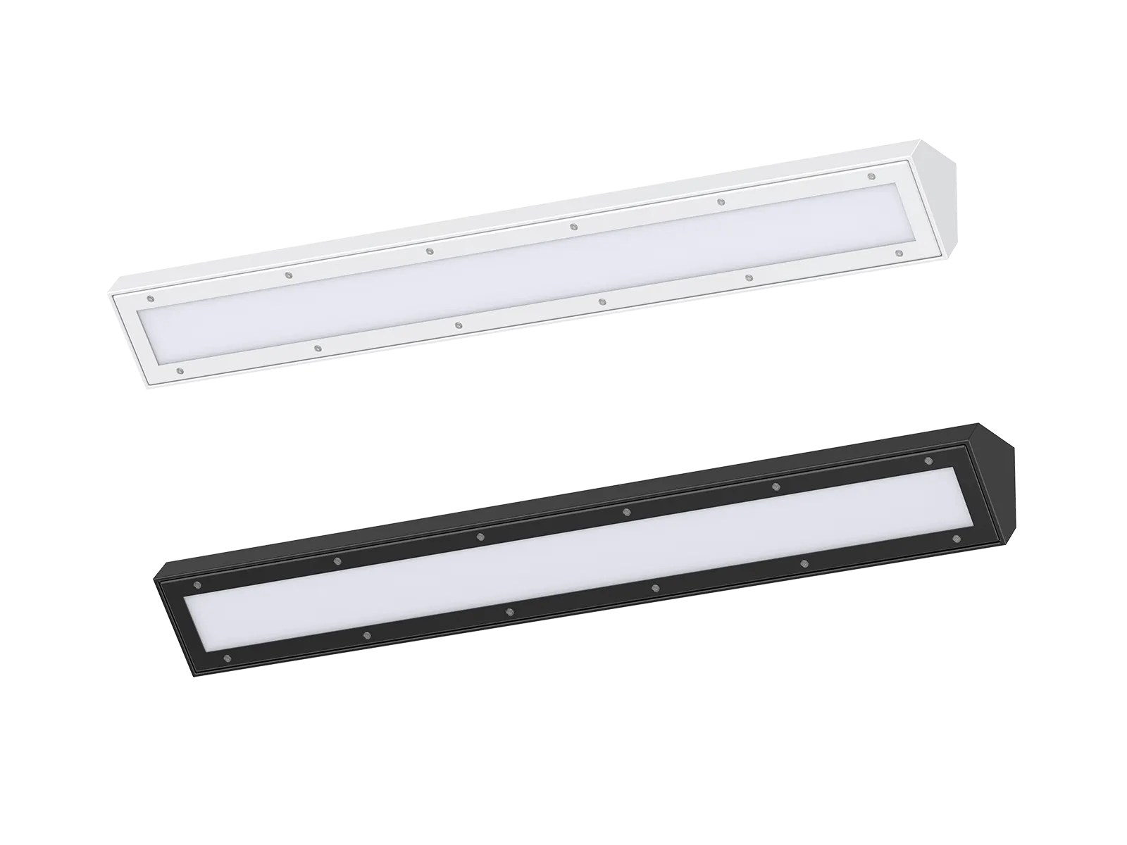 WL216 Vandal Resistant Lighting 2