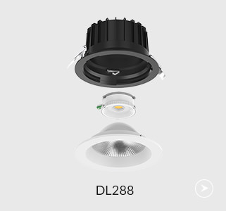 DL288 Downlight