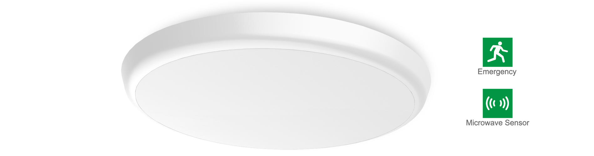 AL08 LED Oyster Ceiling Light