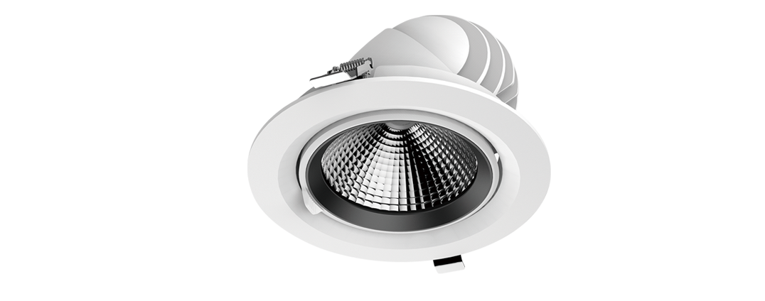 DL77 Adjustable LED Downlight